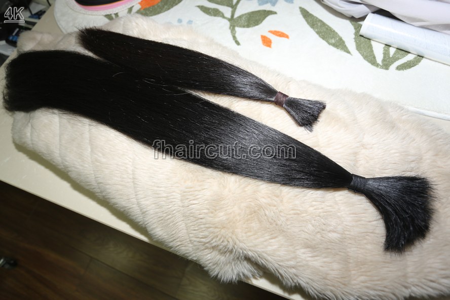 x091# The most beautiful model  longhair - Image 9