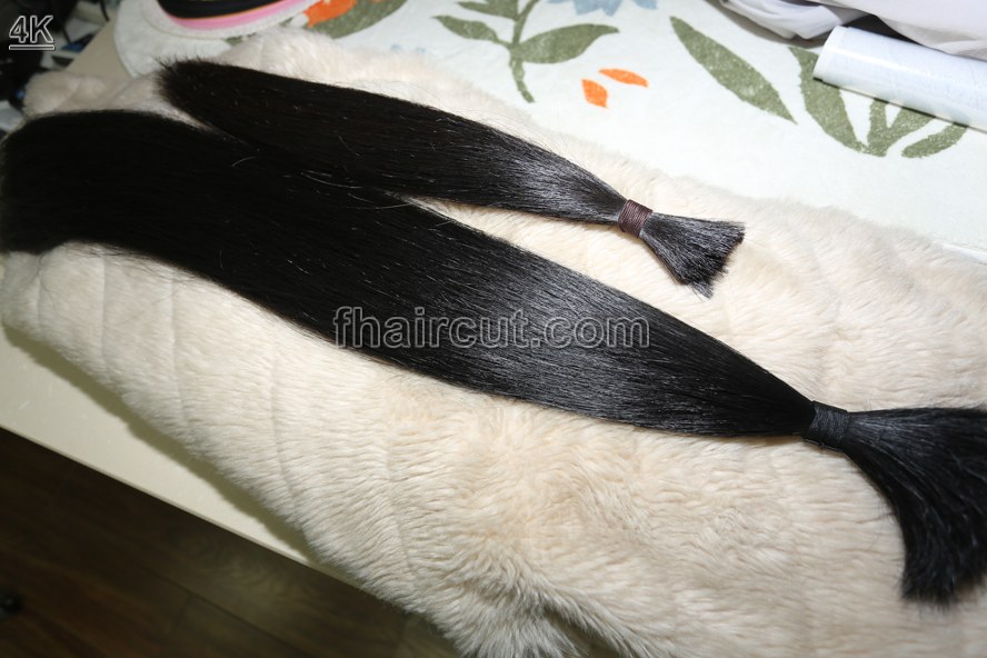 x091# The most beautiful model  longhair - Image 11