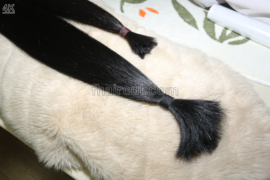 x091# The most beautiful model  longhair - Image 14