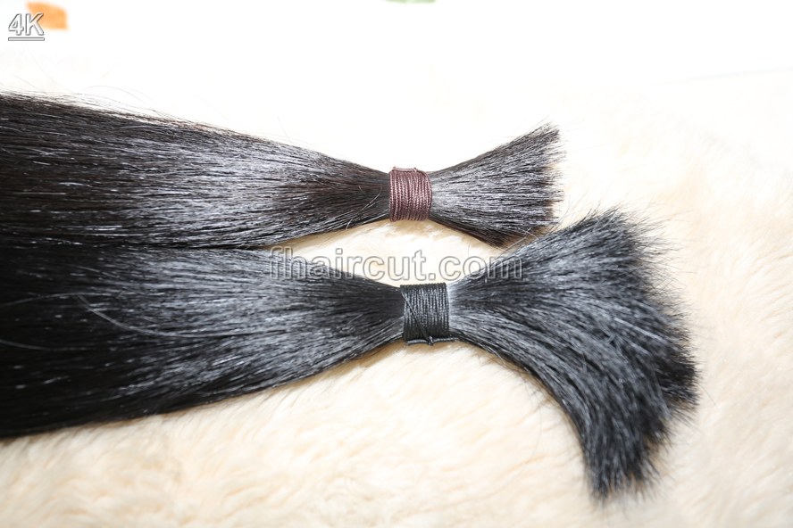 x091# The most beautiful model  longhair - Image 15